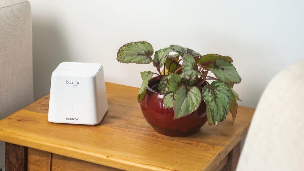 aparelho de wi-fi ao lado de uma planta sobre uma mesa